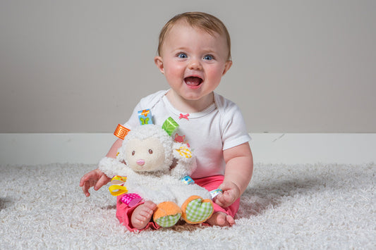 Taggies Sherbet Lamb Lovey Toy close-up of embroidered eyes highlighting safe, soft details.