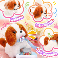 Tagitary interactive dog toy with leash: kid friendly playtime.