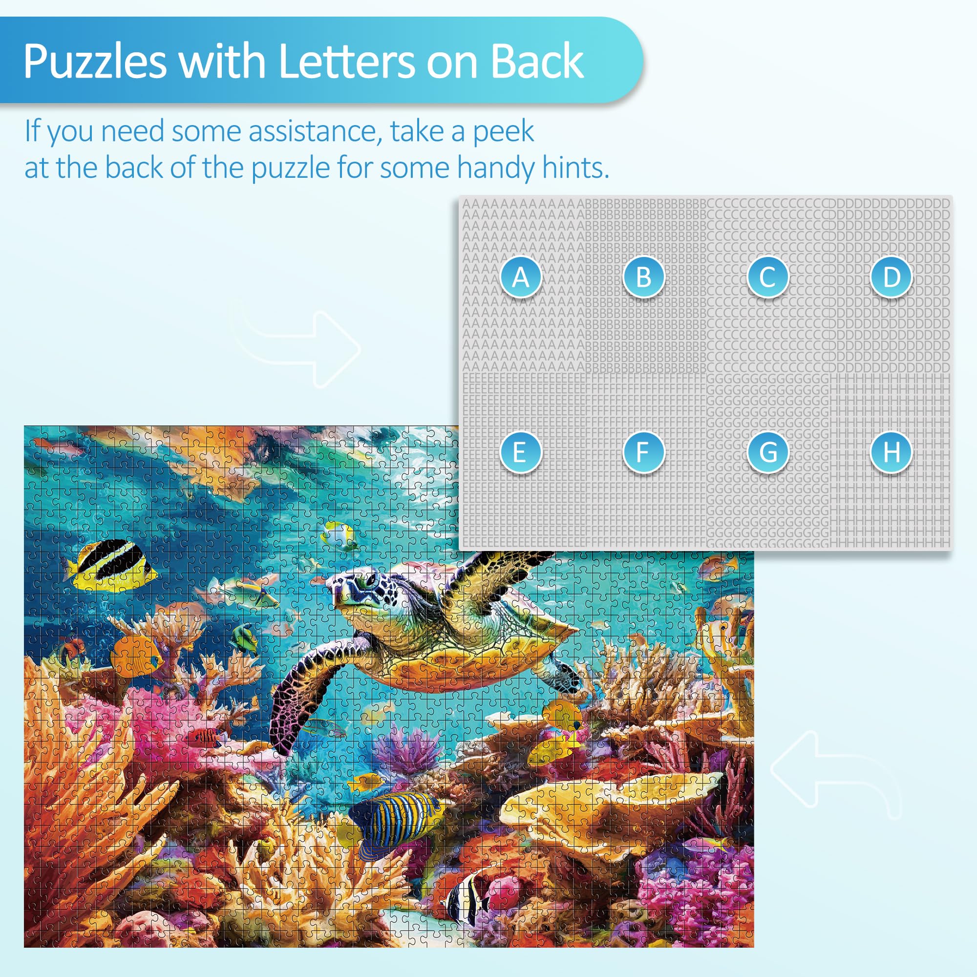 Takfot complete puzzle with matching poster for guidance