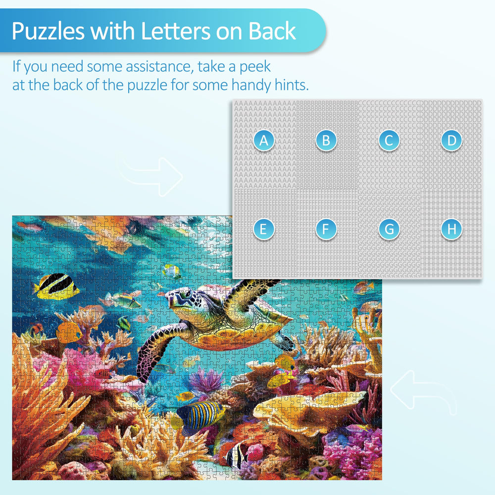 Takfot complete puzzle with matching poster for guidance