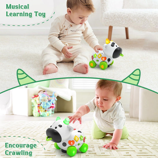 Talkfun cow toy pulled by a toddler to encourage crawling and walking.