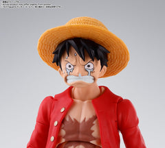 TAMASHII NATIONS Sabo replacement facial parts set.