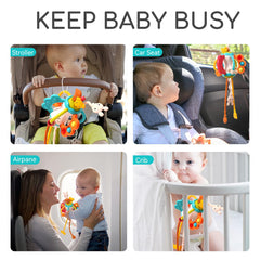 taotaotoys Newborn gift idea for 0-12 months