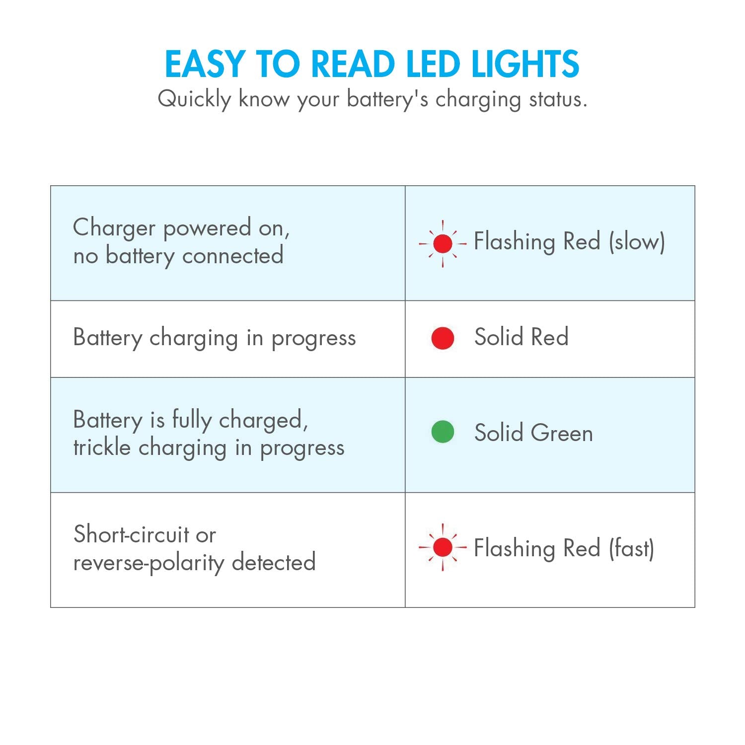 Tenergy charger supports 100-240V AC input for global use.