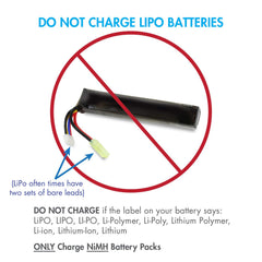 Tenergy charger includes a mini-to-standard Tamiya adapter for versatility.