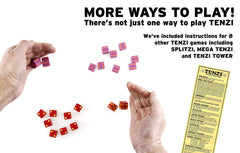 TENZI storage case keeps dice organized and portable for family fun.