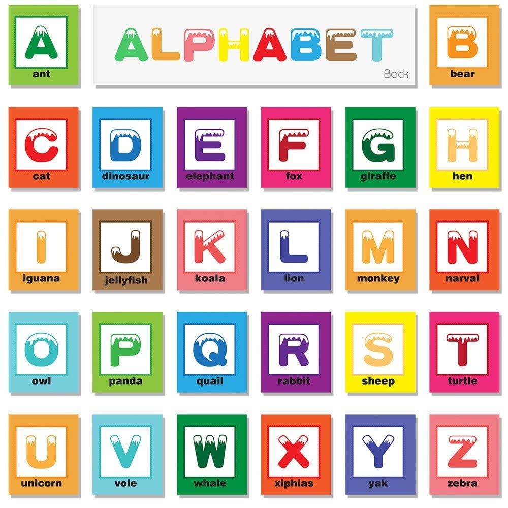TEYTOY Zoo Series colorful letters on soft cards for learning