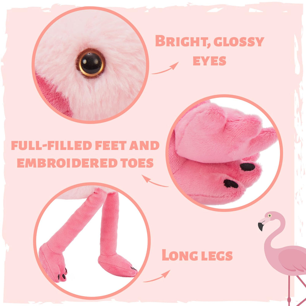Close-up of Tezituor flamingo eyes, highlighting friendly charm for kids.