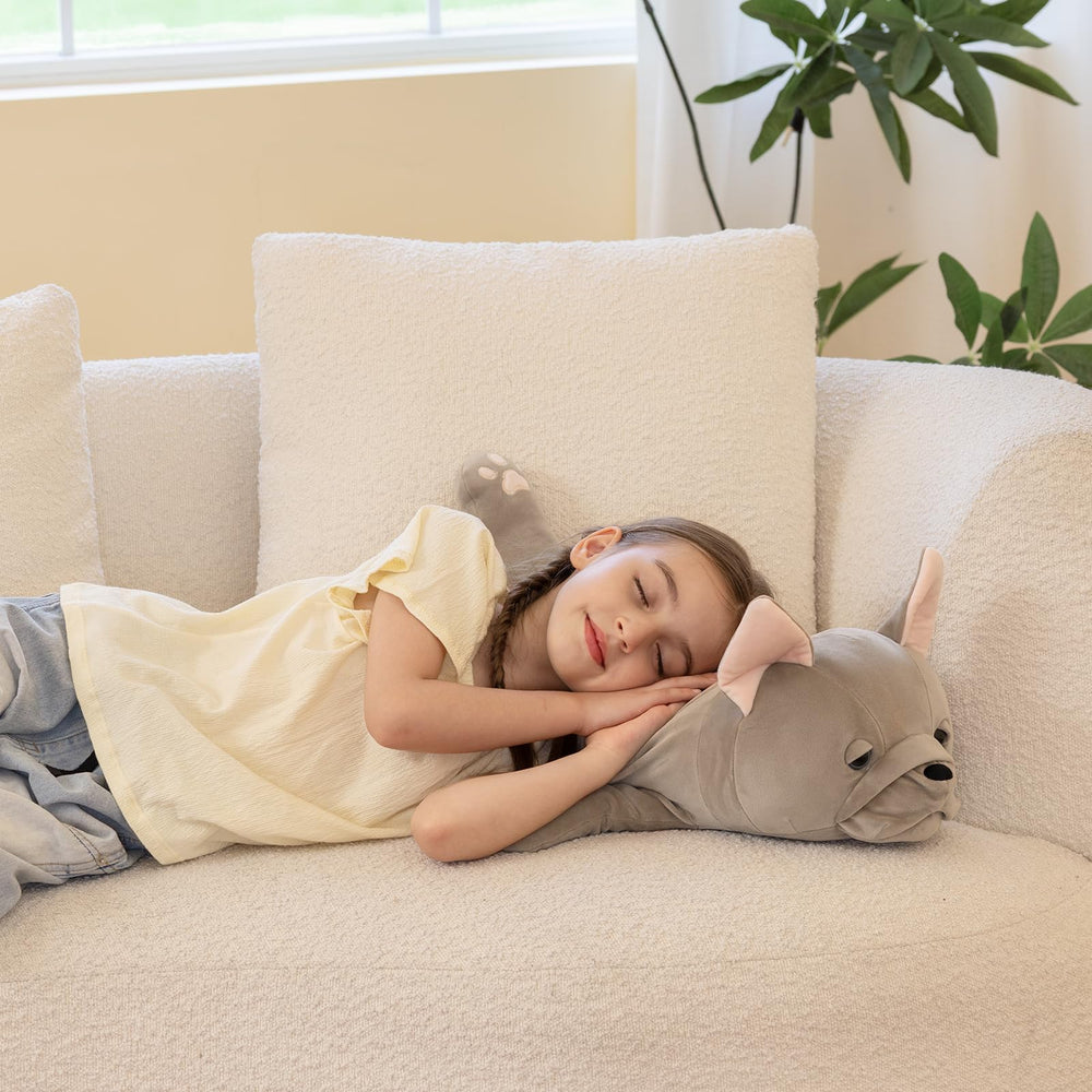 Tezituor Frenchie gift-ready packaging for dog lovers and kids