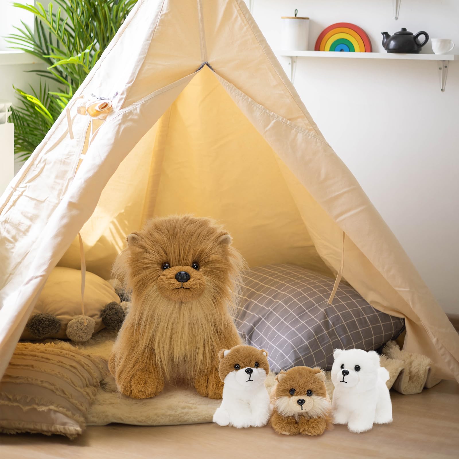 Tezituor Pomeranian gift-ready packaging image, perfect for birthdays and celebrations