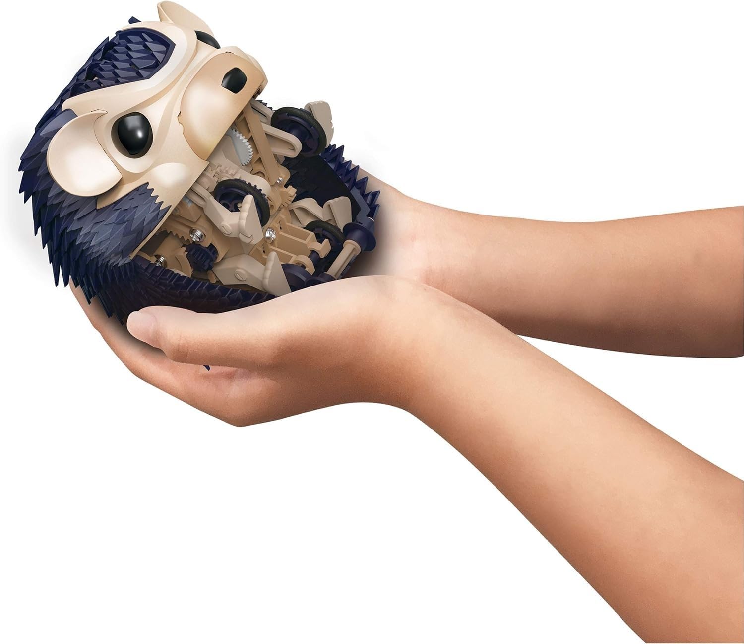 Thames & Kosmos Hedgehog reacts to sounds via built-in sensor.
