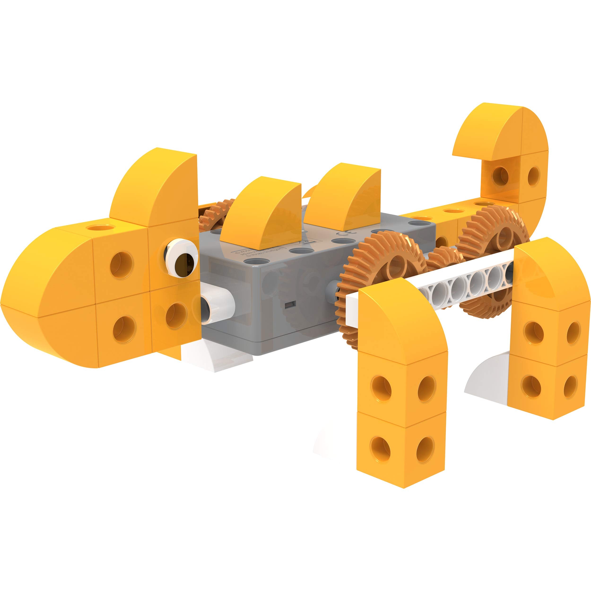 Thames & Kosmos Kids First robot pet shop turtle model for slow-and-steady experiments.