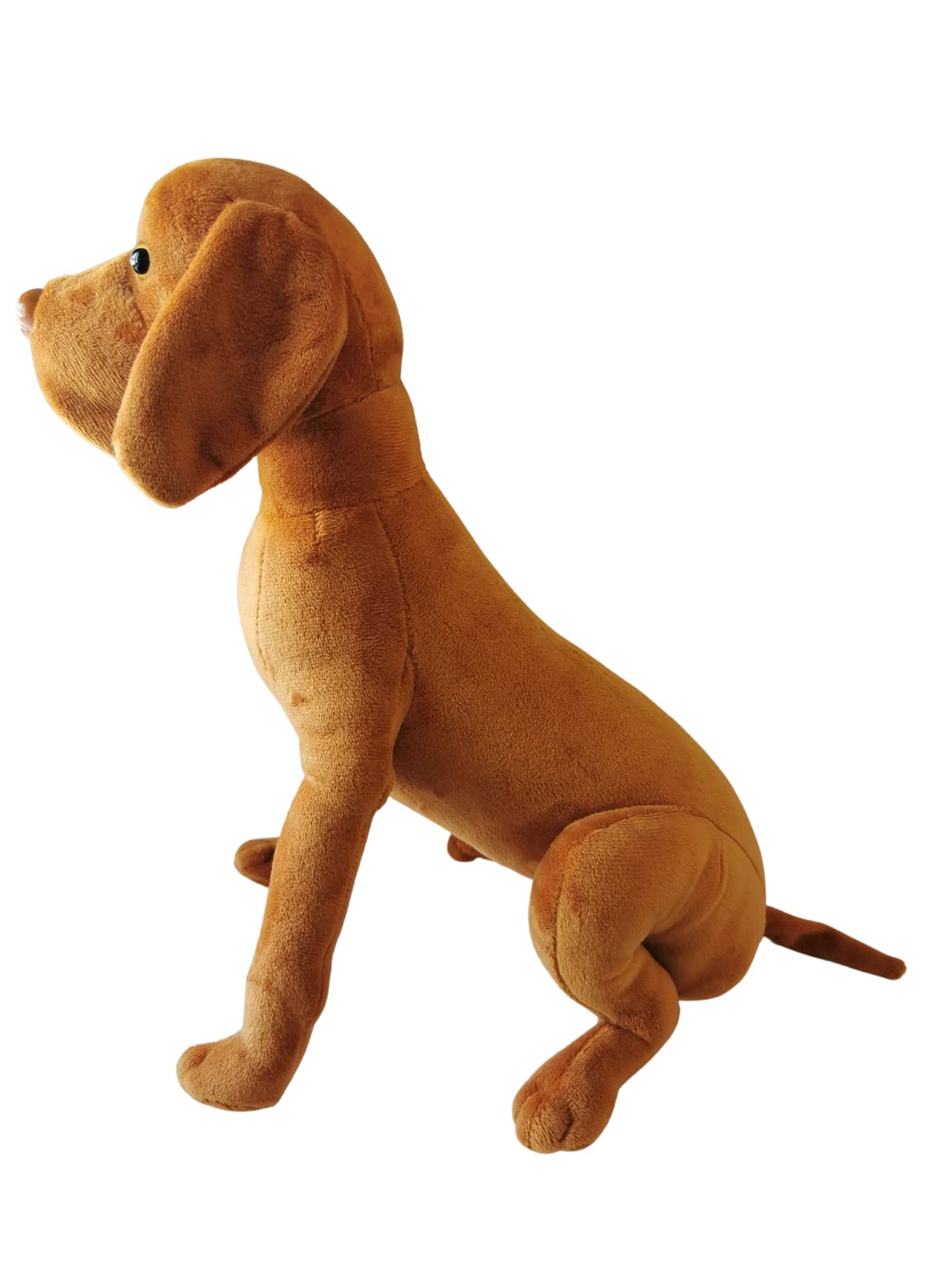 The Clifton Crowd Vizsla Soft Toy baby-safe design suitable from birth invites gentle handling.