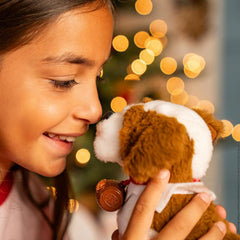 The Elf on the Shelf boxed set bundle is ready for gifting.
