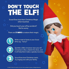 The Elf on the Shelf watercolor picture book pairing with a blue-eyed elf enhances family storytelling.