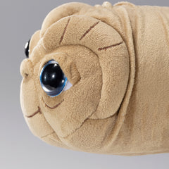 The Noble Collection ET Plush gift-ready box enhances unboxing delight.