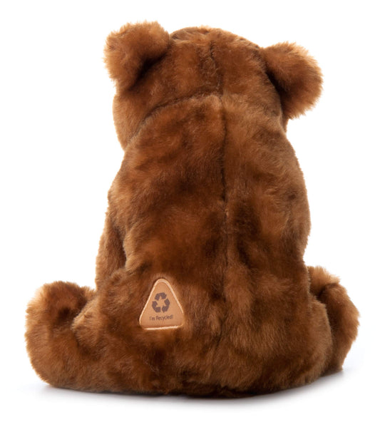 The Petting Zoo bear face close-up with curious eyes for storytelling
