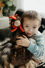 The Petting Zoo chicken plush on shelf adds color to playroom.