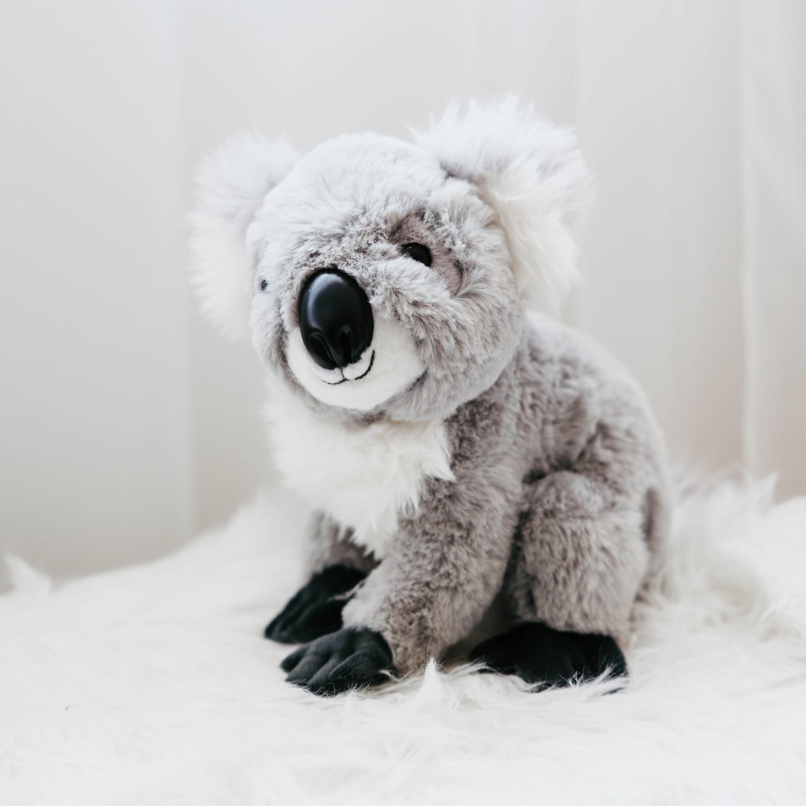 The Petting Zoo koala gift for kids perfect for birthdays and holidays.