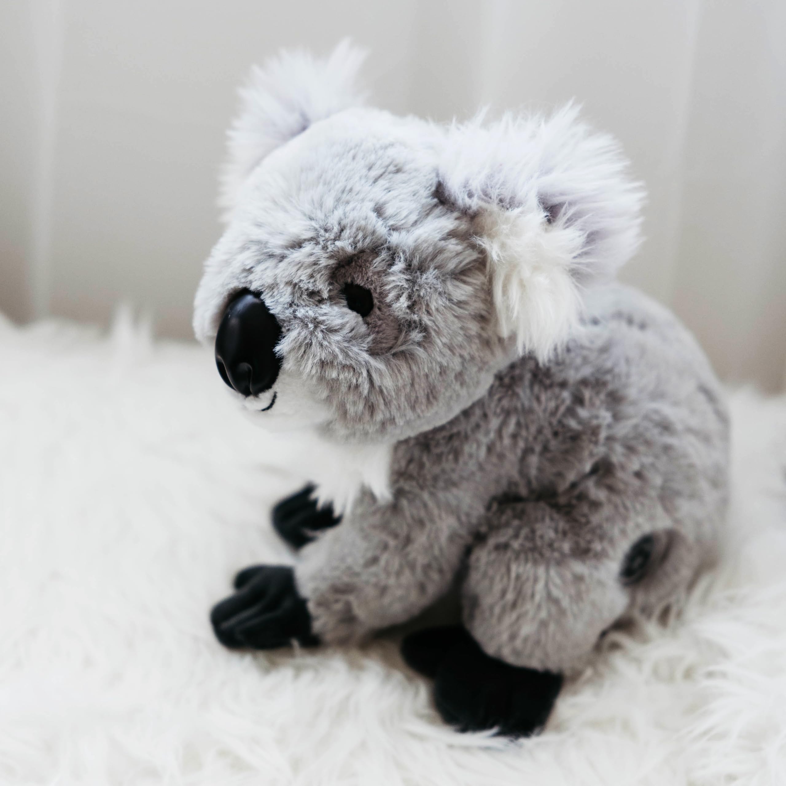 The Petting Zoo koala plush with soft textures for cozy cuddles.
