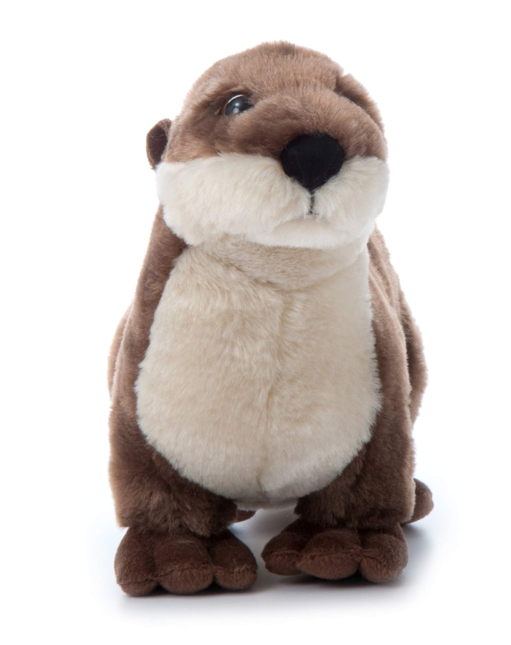 River otter face closeup with a friendly expression ideal for storytelling.