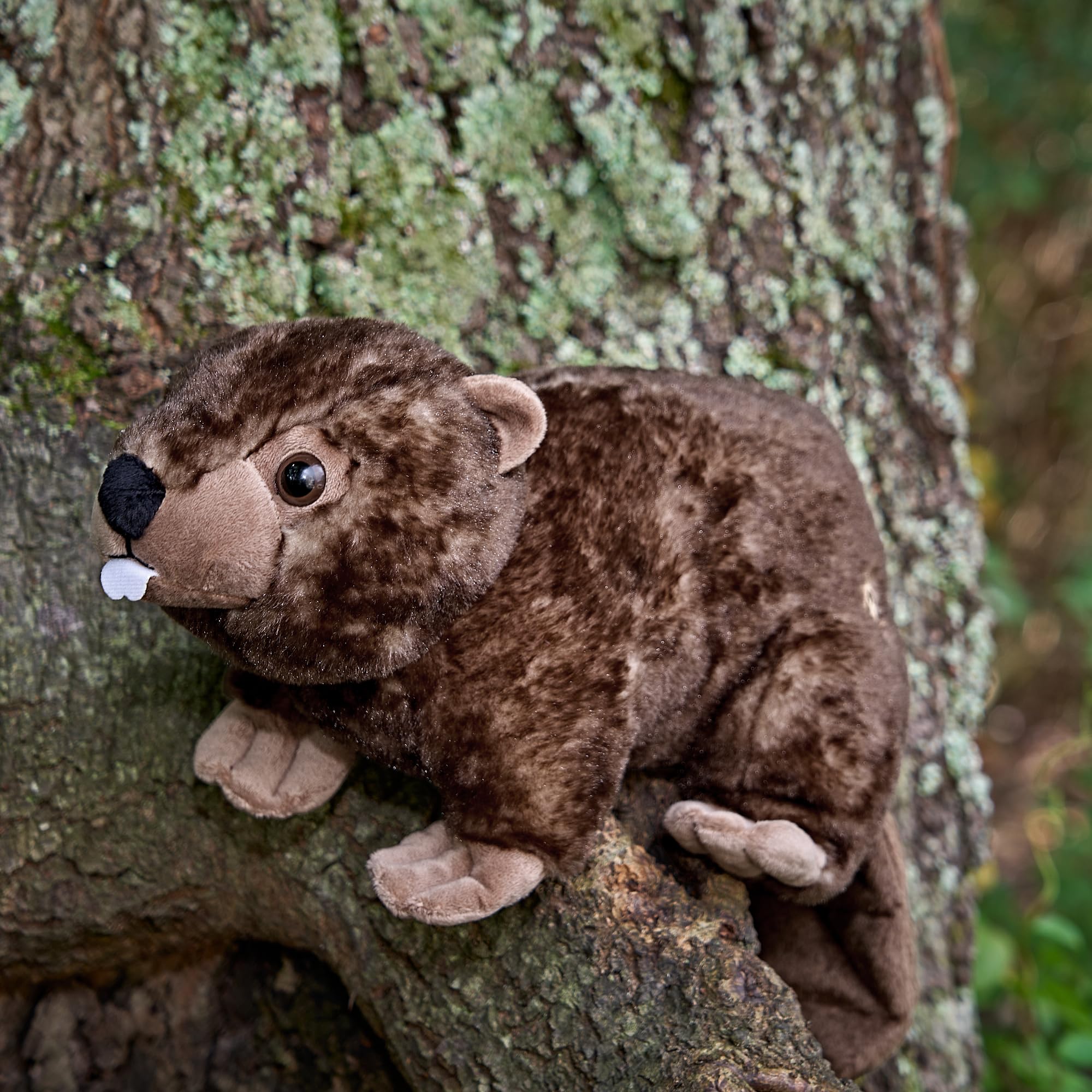 The Petting Zoo beaver plush sparks imaginative dams-building and storytime play.
