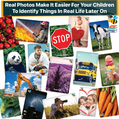 The Scholar Bee Animal flashcards use real photos to spark curiosity.