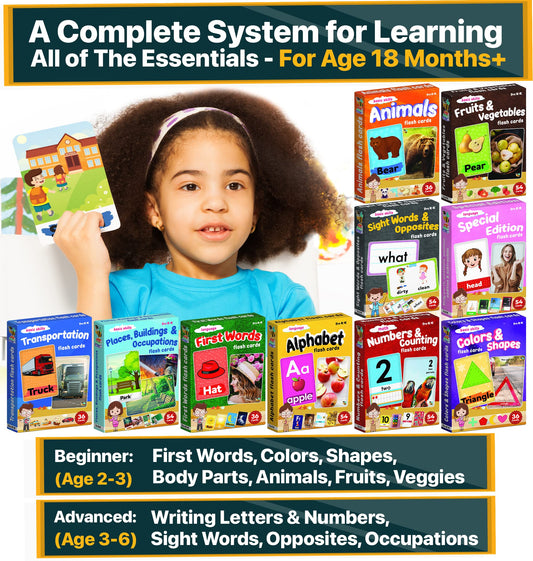 The Scholar Bee Numbers flashcards reinforce counting with vivid, real-life visuals.