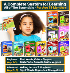The Scholar Bee Numbers flashcards reinforce counting with vivid, real-life visuals.