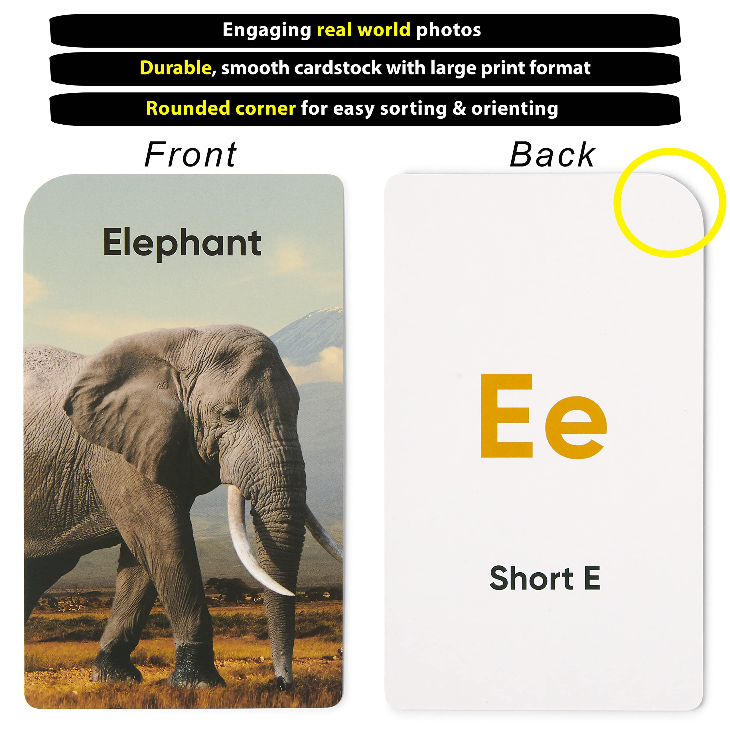 Think Tank Scholar first words flashcards with real-life images to boost vocabulary