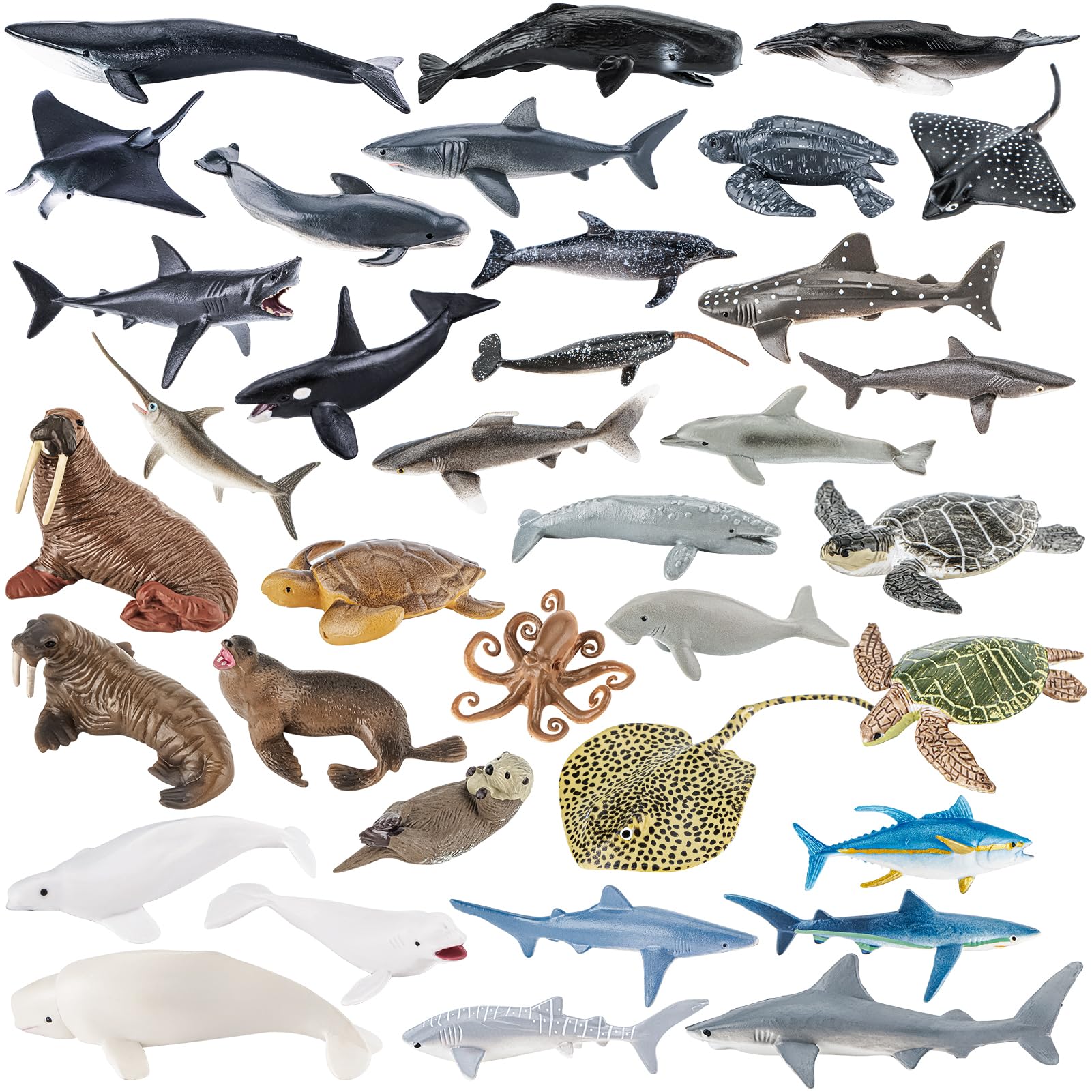 THINKBAY 36pc sea animal toys packaging shows neatly organized set for easy gifting.