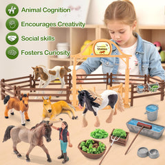 THINKBAY educational horse play enhances focus and imagination