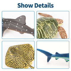 THINKBAY educational sea-creature figures encourage observation skills and curious questions.