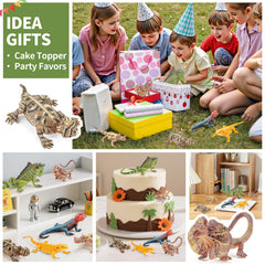 ThinkBay Educational toy display for gift ready learning collections