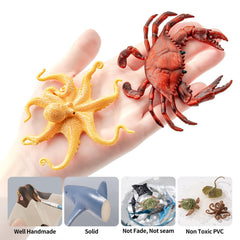 THINKBAY hermit crab toy, soft plastic, great for pretend sea adventures.