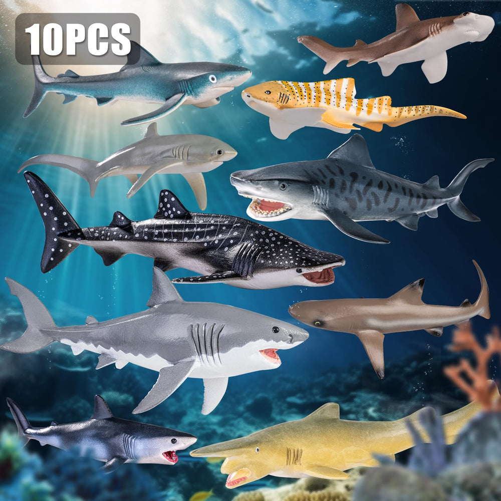 ThinkBay Whale Shark figure ideal for classroom decor and educational display.