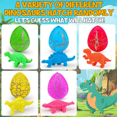 Thremhoo dino eggs reveal details inside for imaginative play.