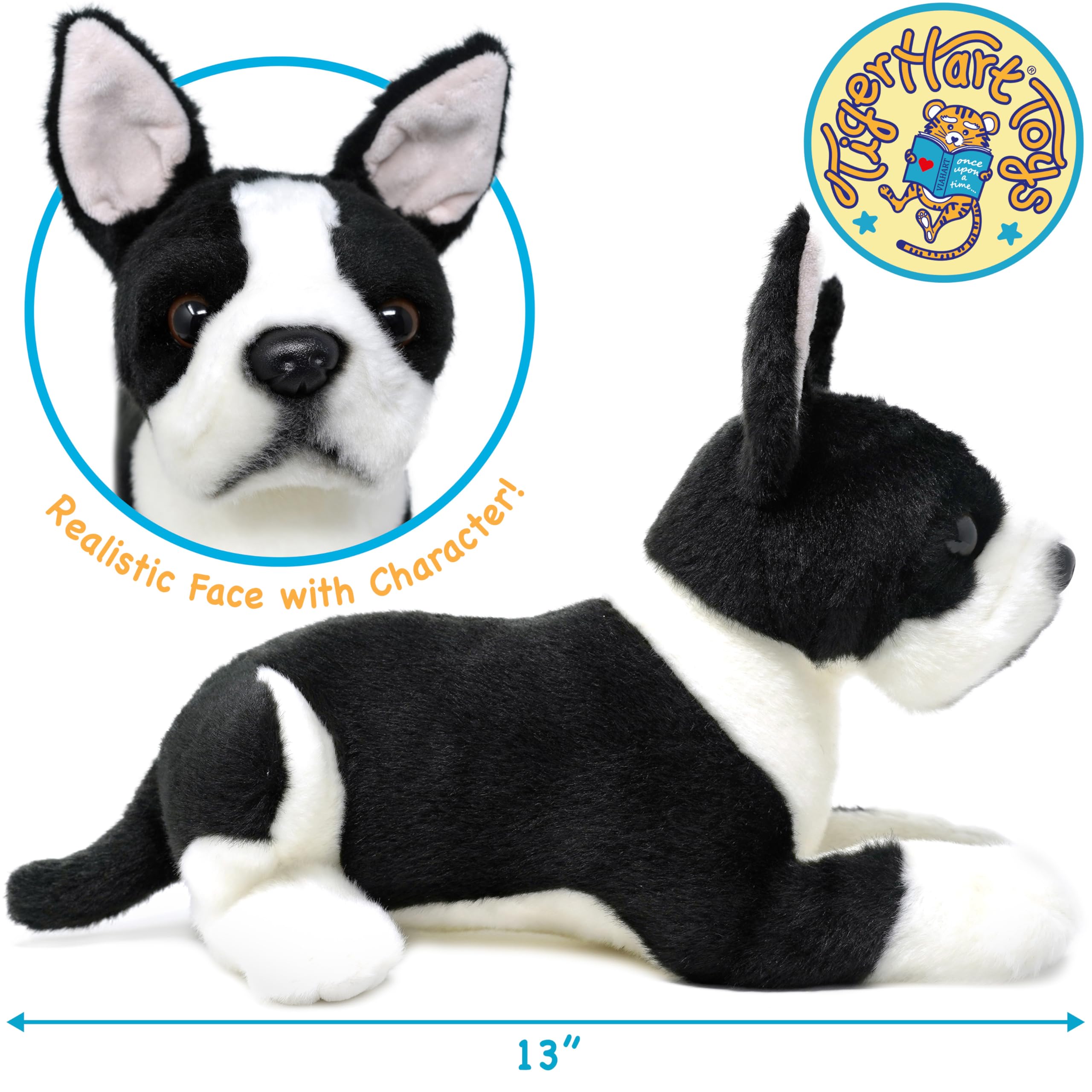 TigerHart Baxter Boston Terrier 12-inch face detail, friendly expression inspires imaginative storytelling.