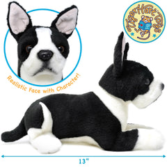 TigerHart Baxter Boston Terrier 12-inch face detail, friendly expression inspires imaginative storytelling.