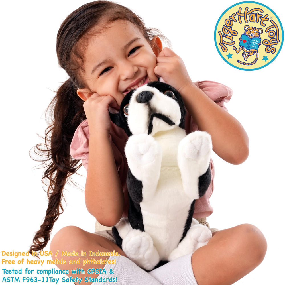 TigerHart Baxter Boston Terrier 12-inch warranty label, 90-day coverage for manufacturer defects.