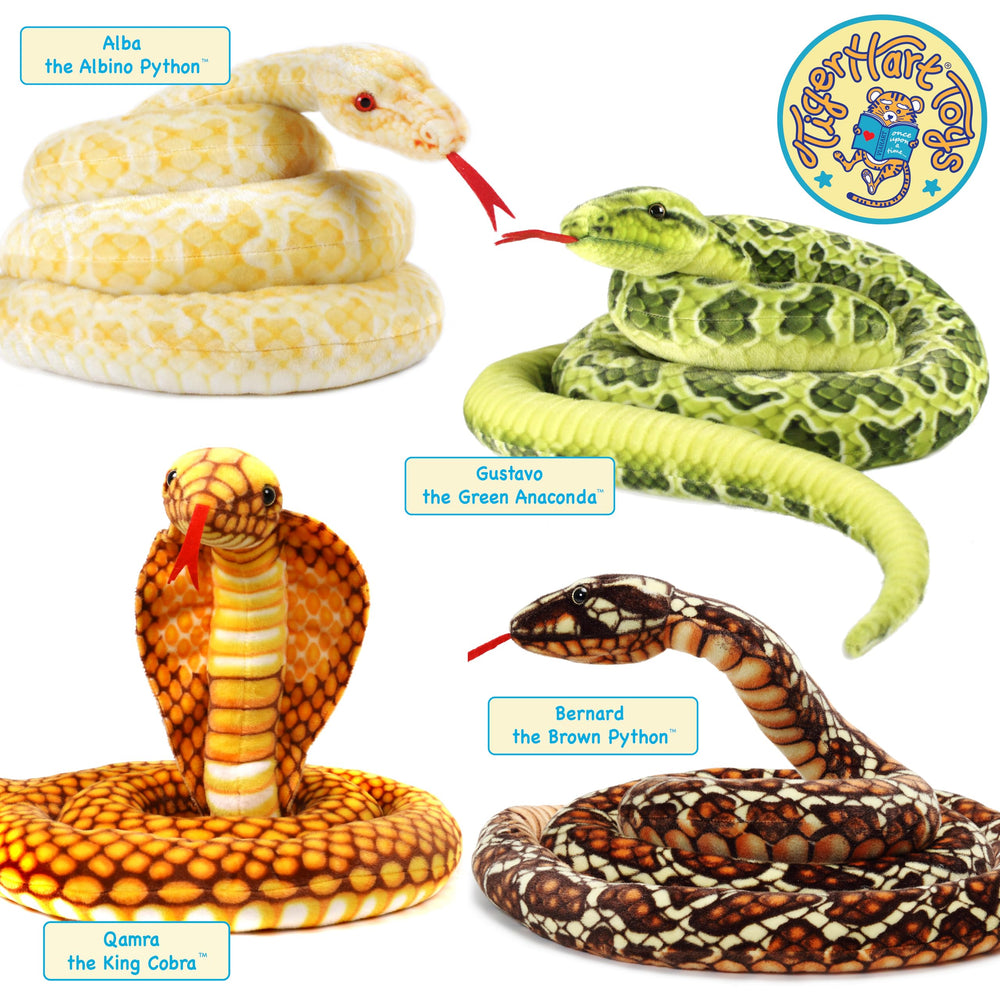 TigerHart Bernard Brown Python care instructions for easy at-home maintenance.
