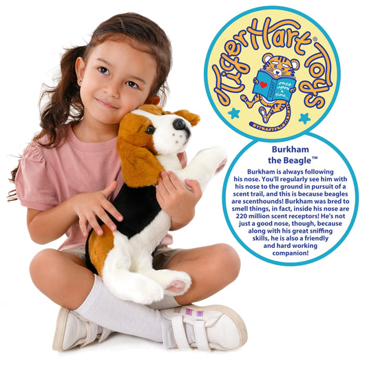 TigerHart Burkham Beagle plush nose close-up for sensory-rich cuddle moments.