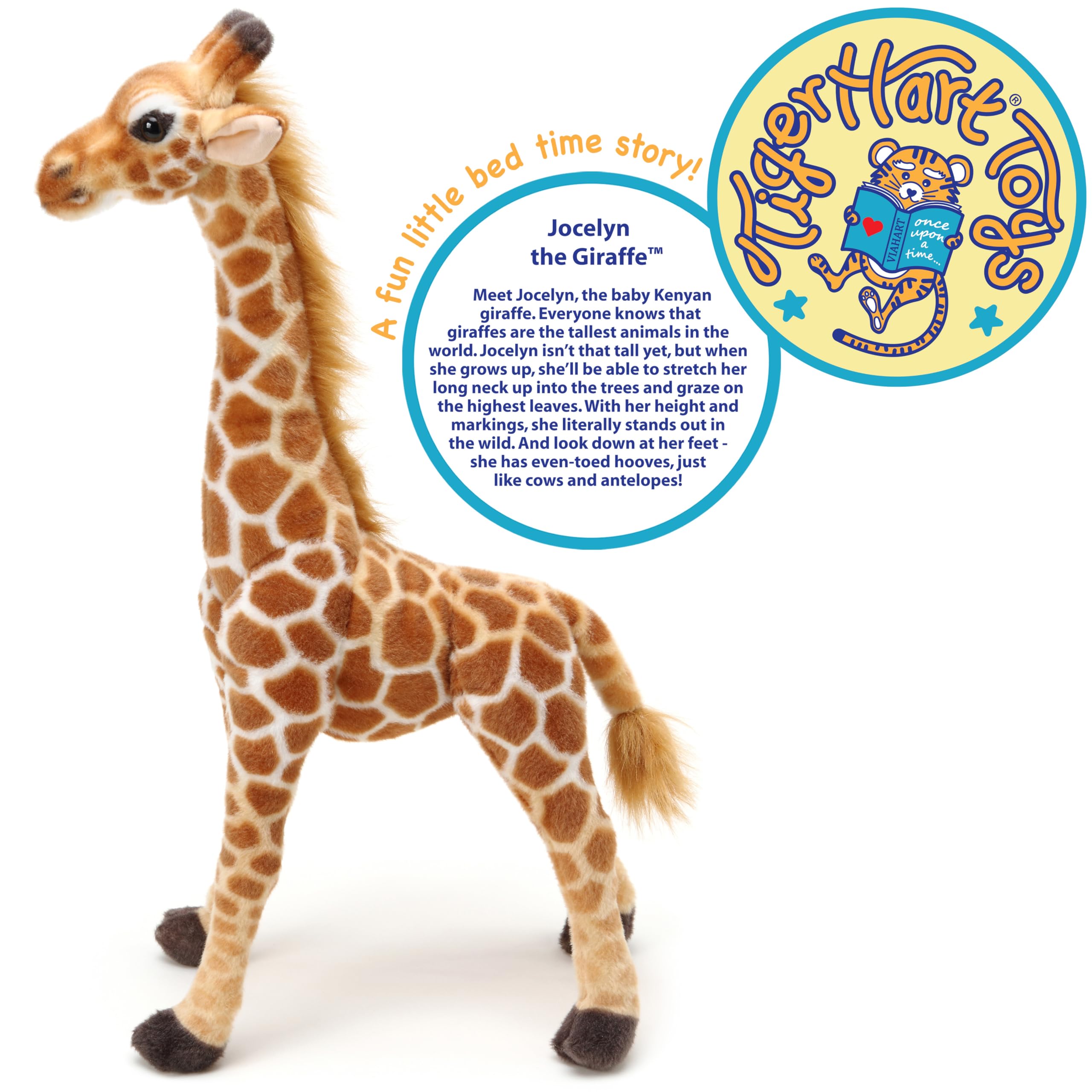 Jocelyn's poseable neck supports interactive storytelling and positioning.