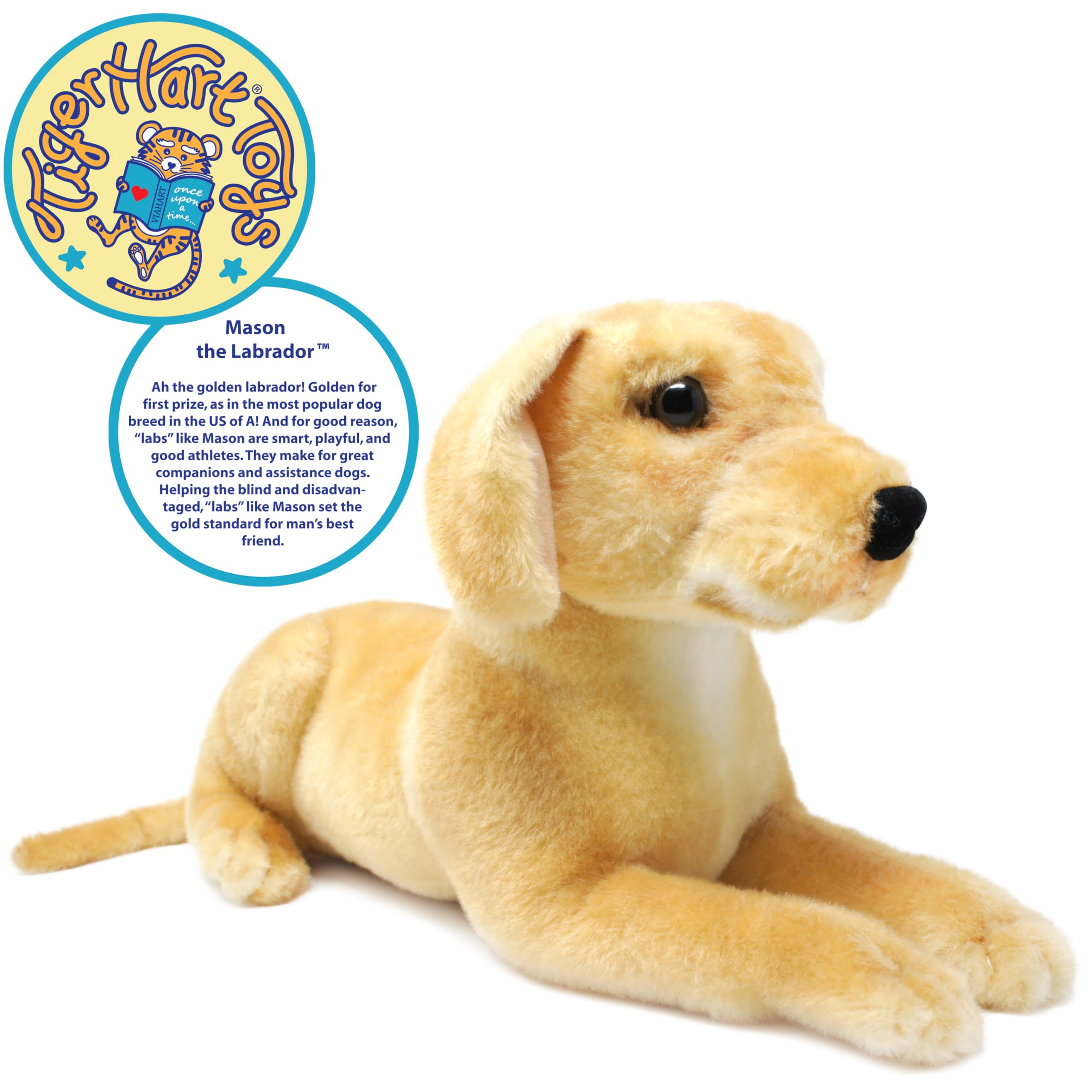 TigerHart Mason plush face close-up shows friendly expression for imaginative play.