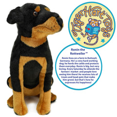 TigerHart Ronin plush face ready for hugs and storytelling