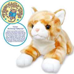 TigerHart Tamarr plush face focuses on friendly expression for storytelling
