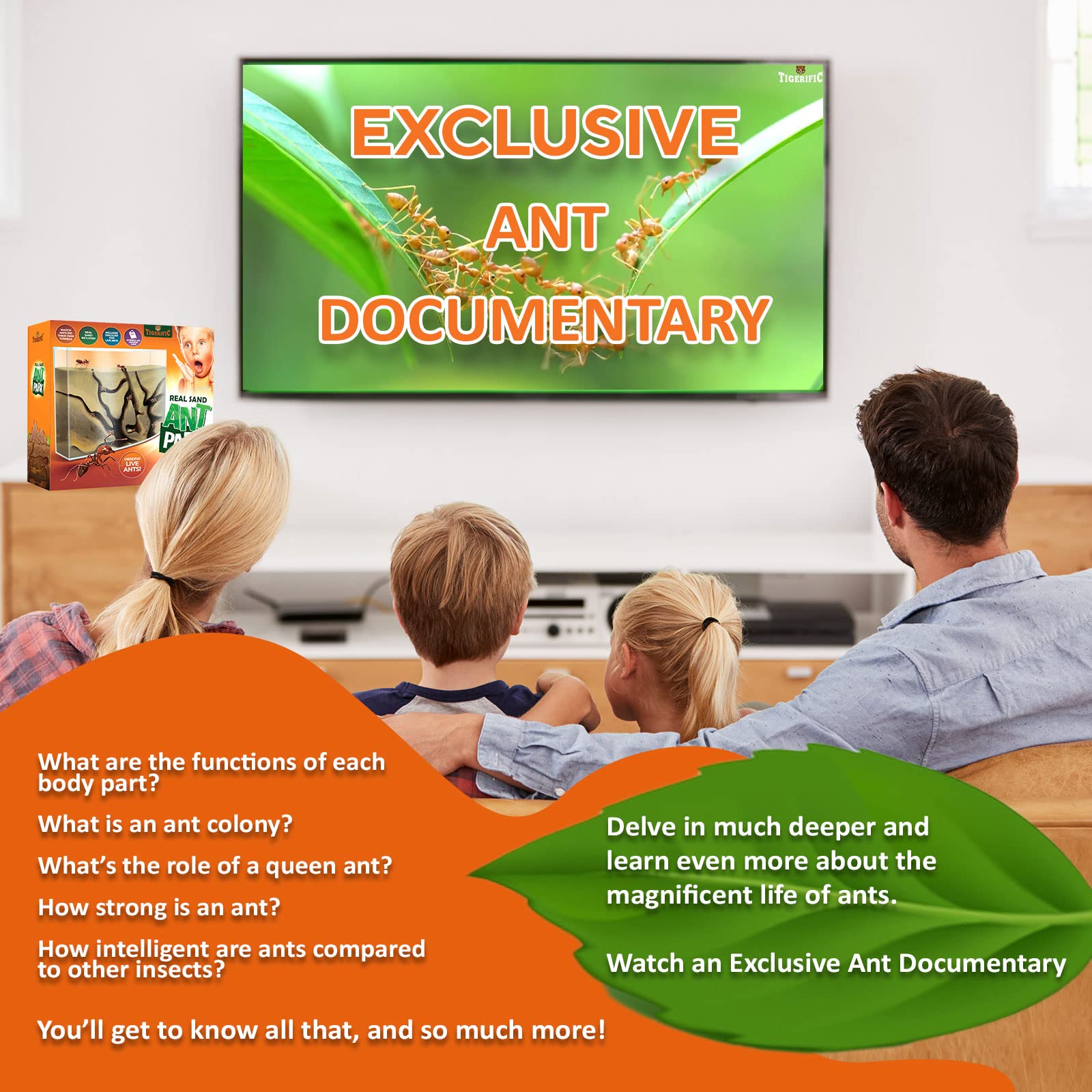 Tigerific live ants purchase option includes care steps for beginners.