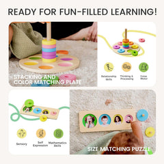 Tiny Land Montessori Toy Set color matching plate for visual discrimination.
