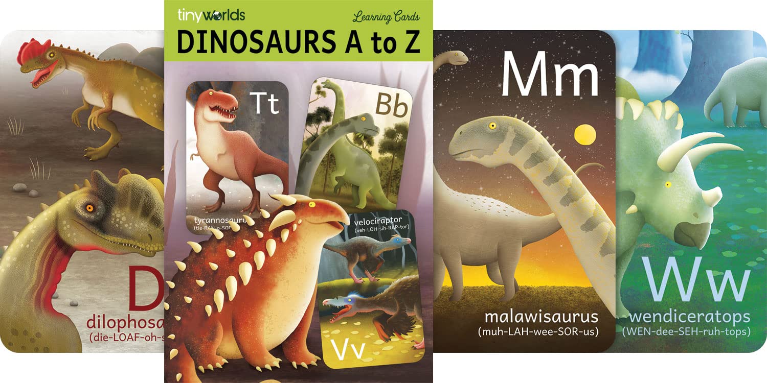 Tiny Worlds dinosaur alphabet card C showing Ceratopsian to boost letter focus