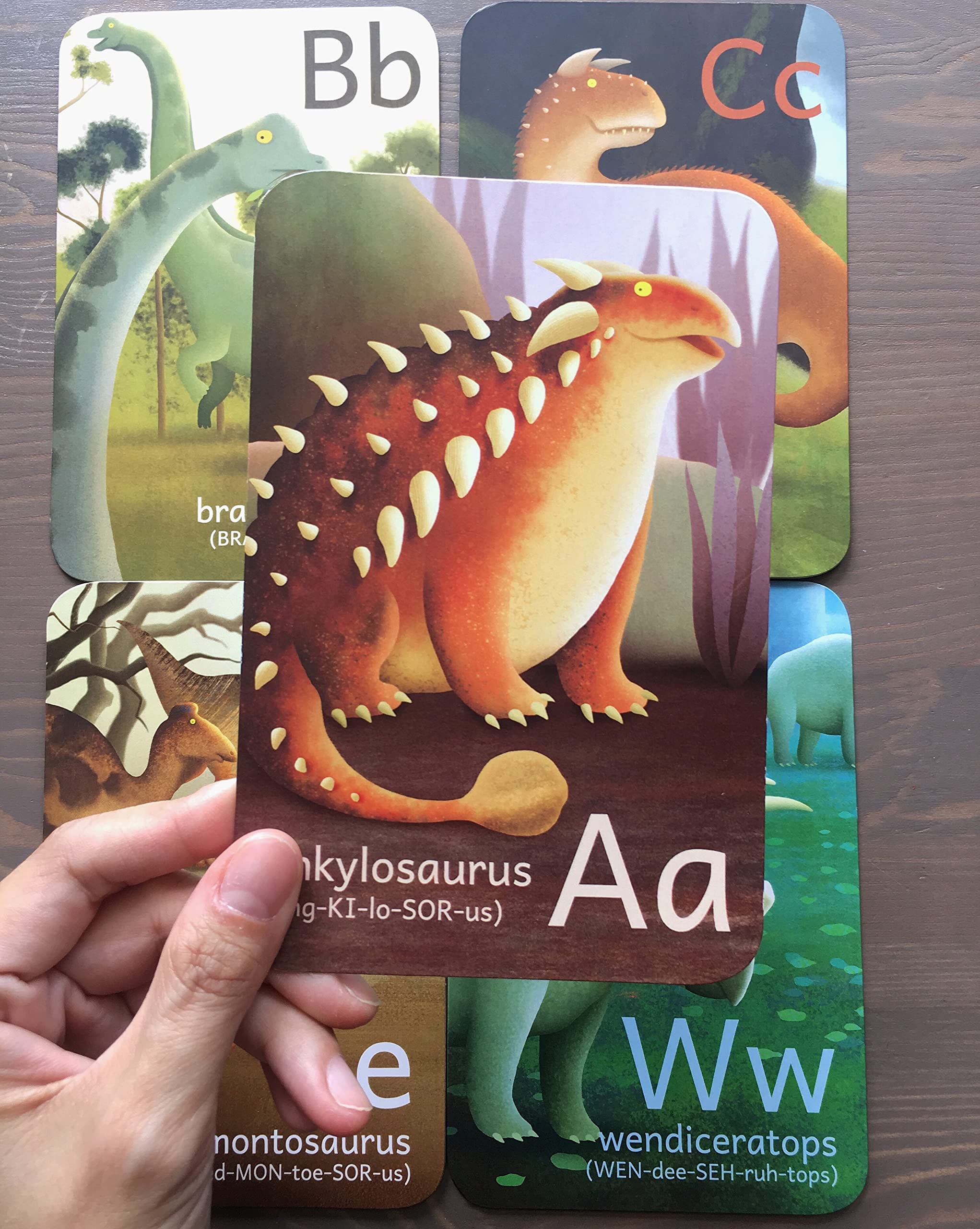 Tiny Worlds dinosaur alphabet card G highlighting Giganotosaurus to support phonics play